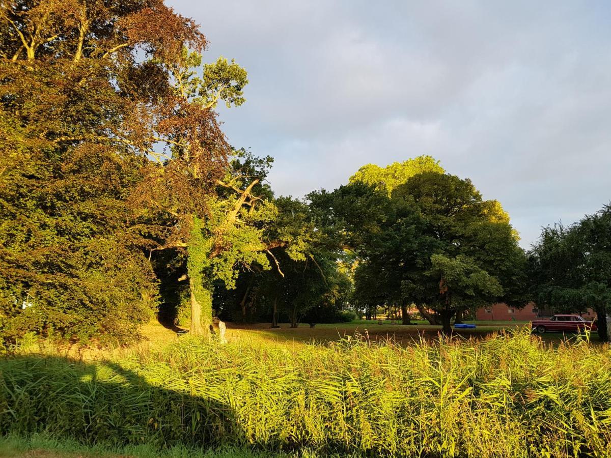 Johannes Hof Bunde  Extérieur photo